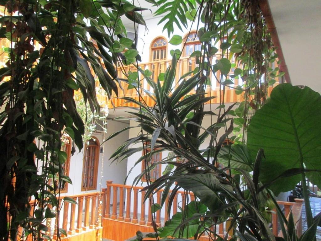 Hotel Guzman Xilitla Eksteriør billede