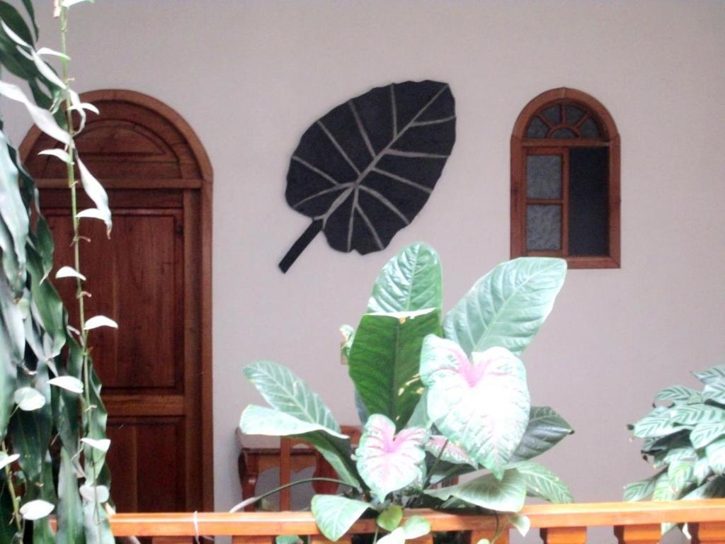 Hotel Guzman Xilitla Eksteriør billede
