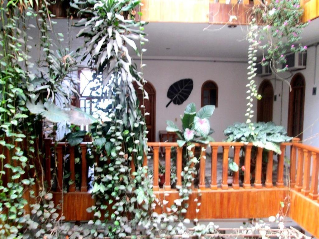 Hotel Guzman Xilitla Eksteriør billede