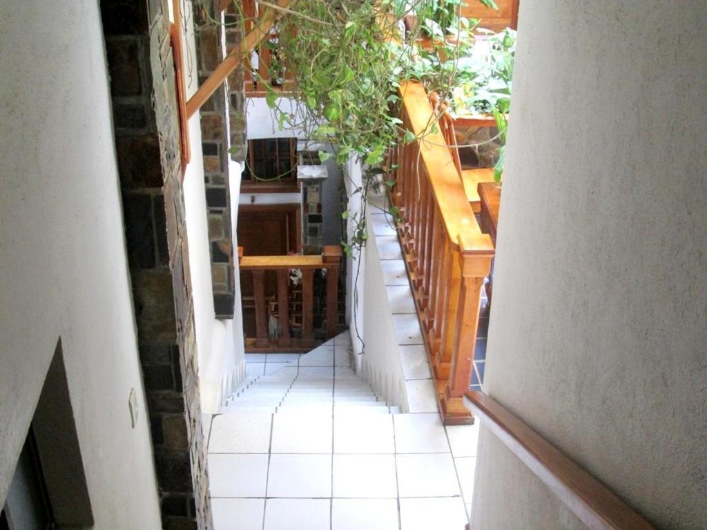 Hotel Guzman Xilitla Eksteriør billede